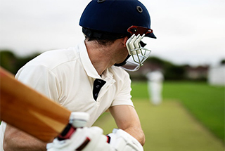 m3m mansion cricket area
