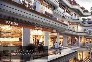 m3m route65 shopping bliss
